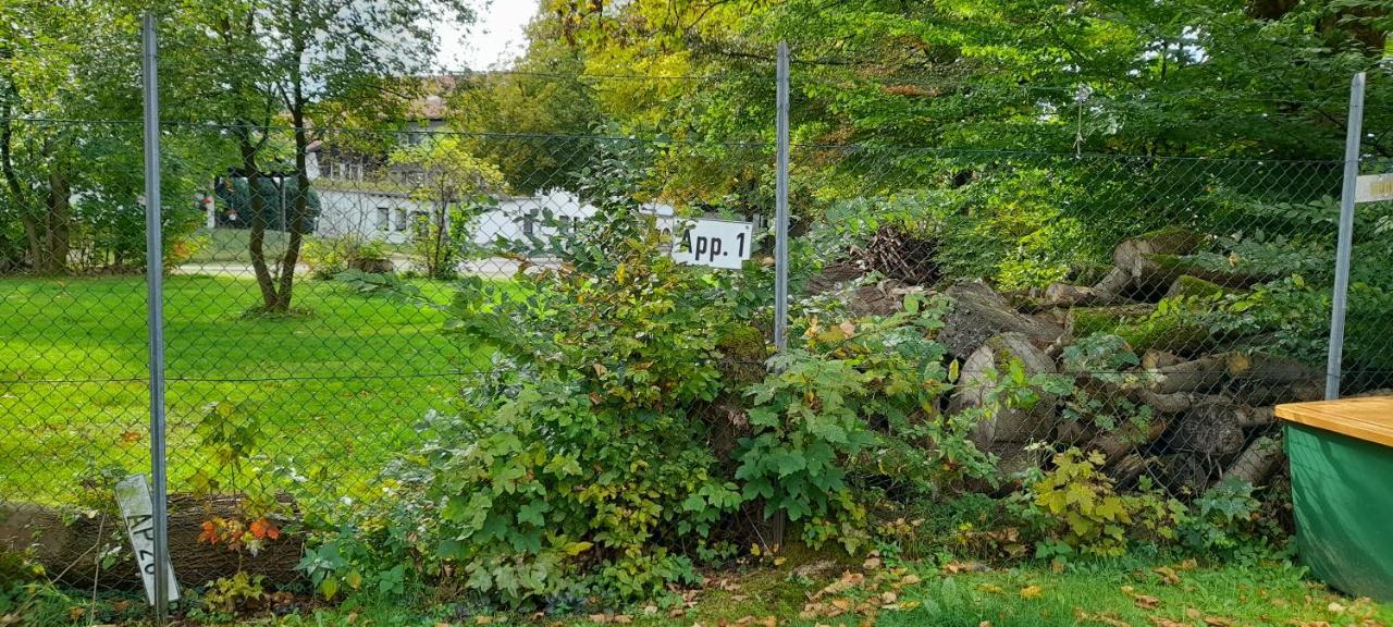 Ferienwohnung Kueck-Theodor-Hein-Str. Goslar Buitenkant foto